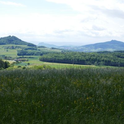 17 Hoher Stoffel u. Hoher Hewen